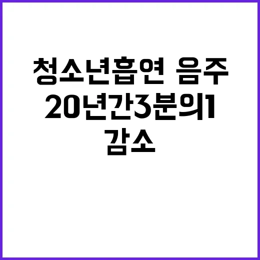 청소년 흡연·음주 …