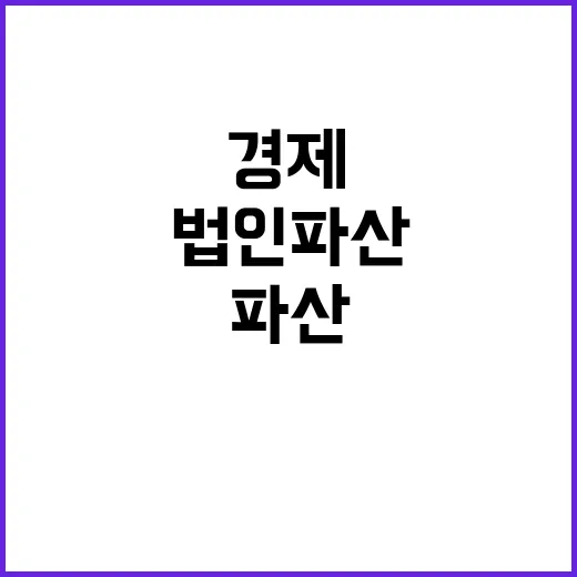 법인 파산 감소세 …