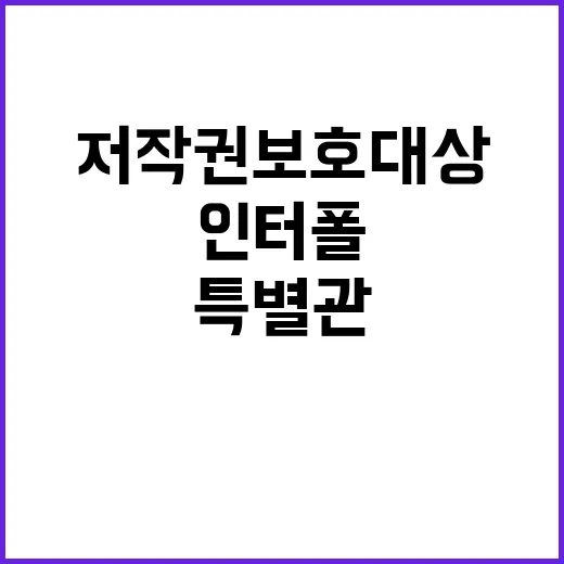 저작권보호 대상 인…