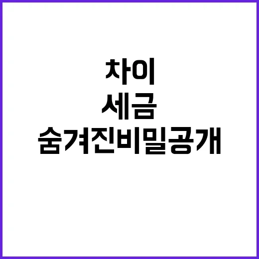 세금 연봉 차이의 …