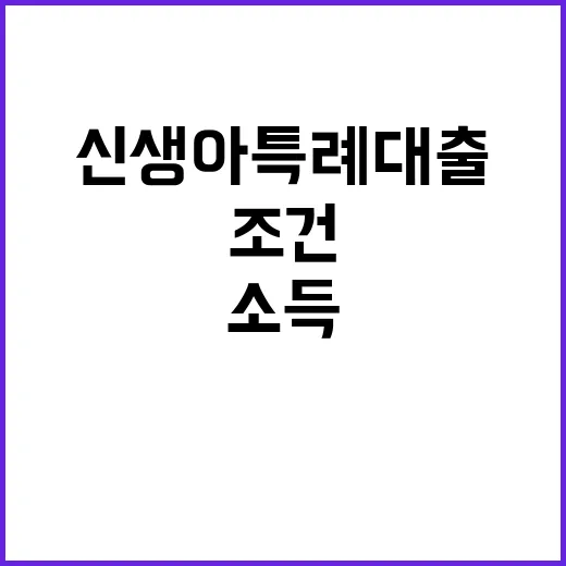 신생아 특례 대출 …