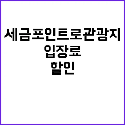 세금포인트로 관광지…