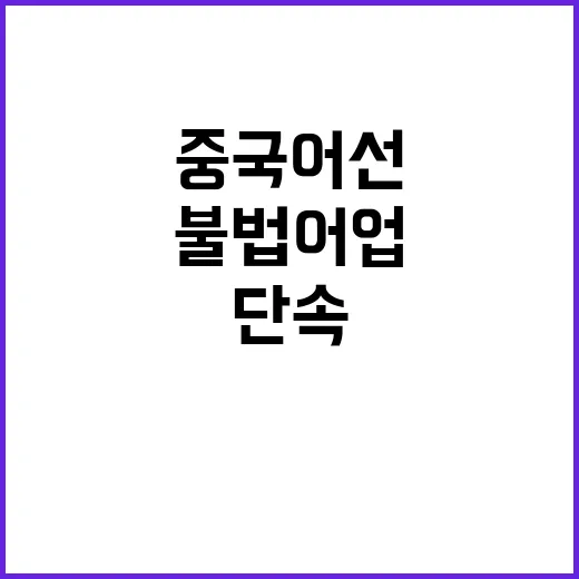 불법 어업 중국어선…