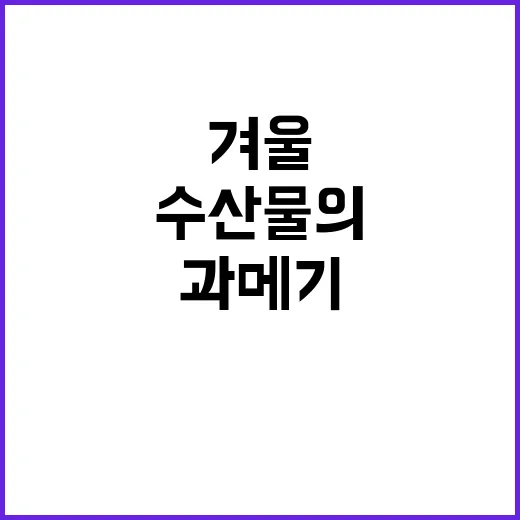 과메기·복어 겨울 …