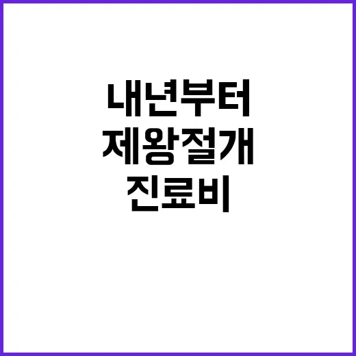 제왕절개 진료비 내…