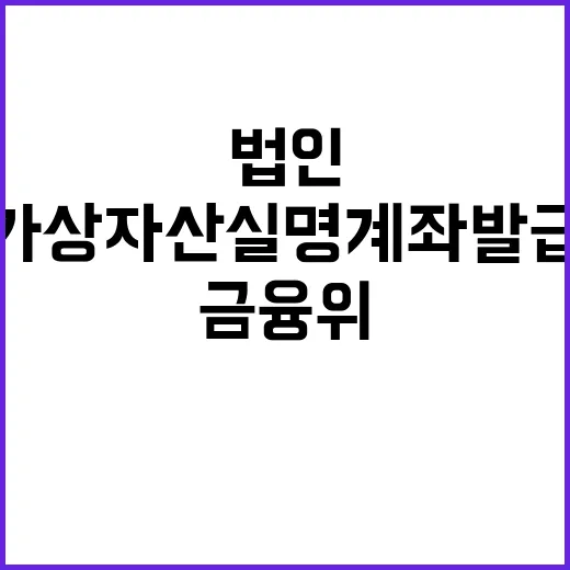 금융위 법인 가상자…