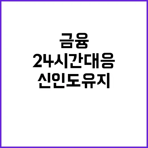 금융 안정세 24시간 대응체계 구축과 신인도 유지!