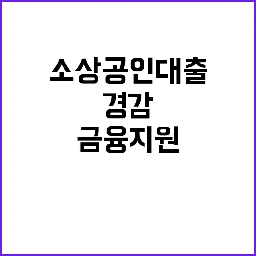 소상공인 대출 이자, 금융지원으로 대폭 경감된다!