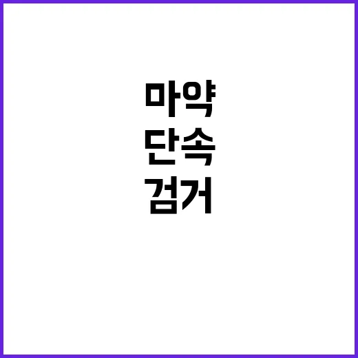 마약 검거 증가! 하반기도 고강도 단속 예고