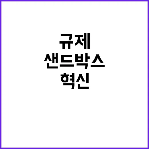 규제 혁신, 샌드박…