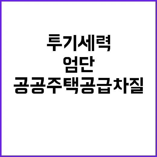 투기세력 엄단, 공…