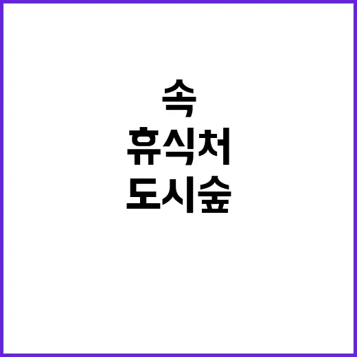 도시숲 도심 속 숨…