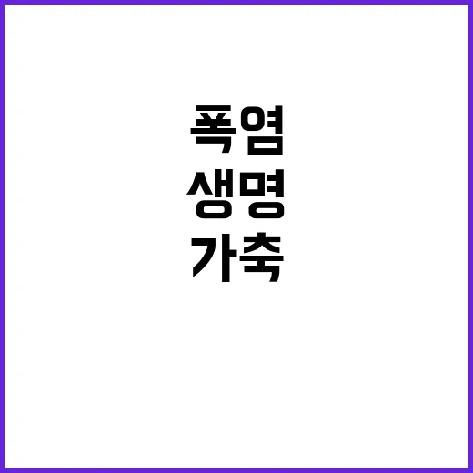 가축 폭염, 대응반…