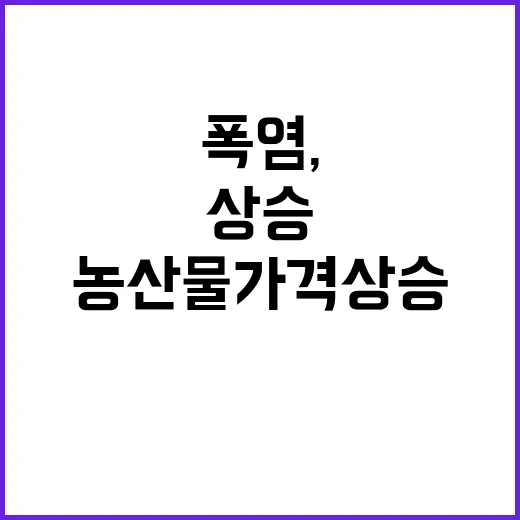 폭염, 농산물 가격…