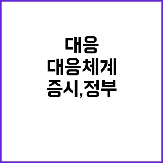 증시, 정부의 이례…