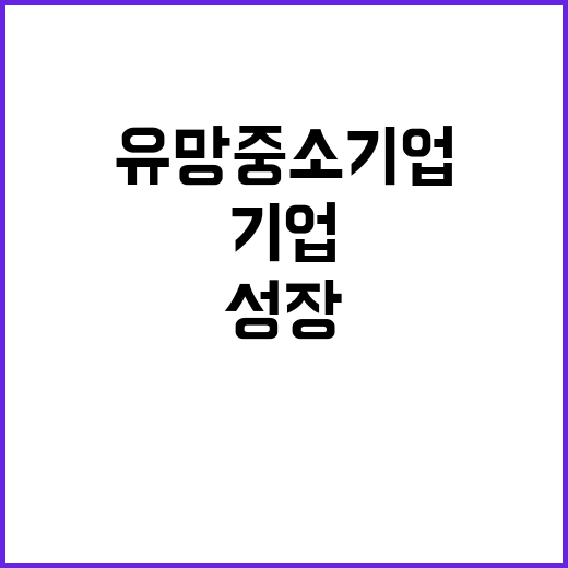 유망 중소기업, 성…