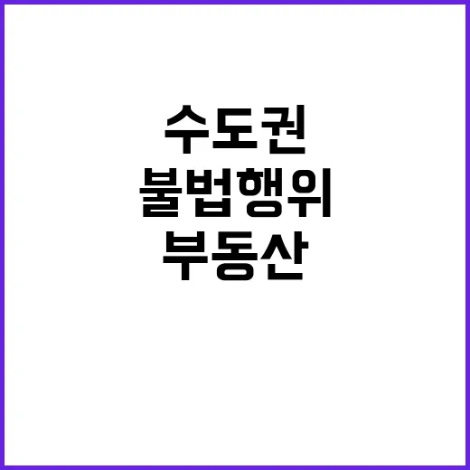 부동산 불법행위 수…