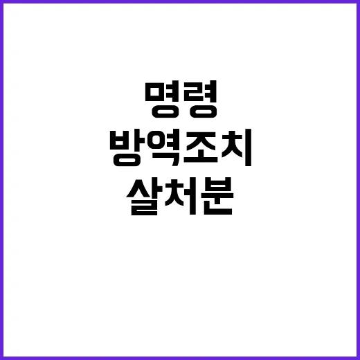 아프리카돼지열병 긴…