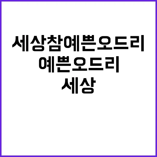 세상 참 예쁜 오드…