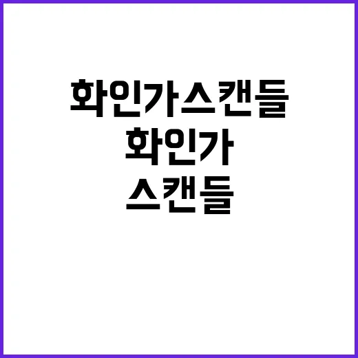 화인가 스캔들