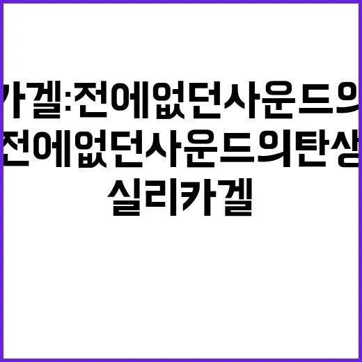 실리카겔 전에 없던…