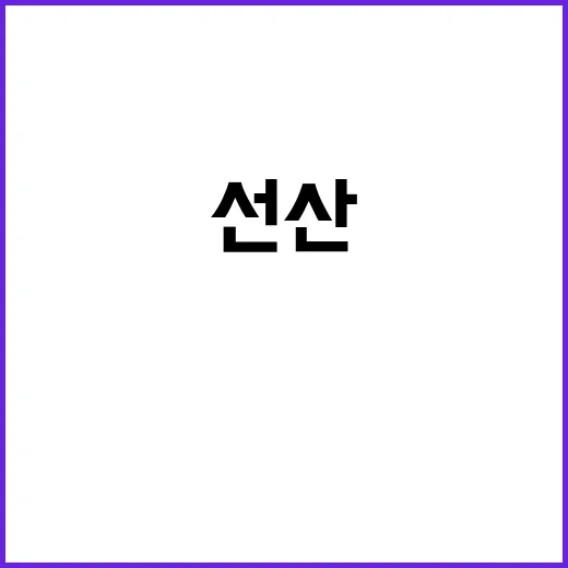 선산