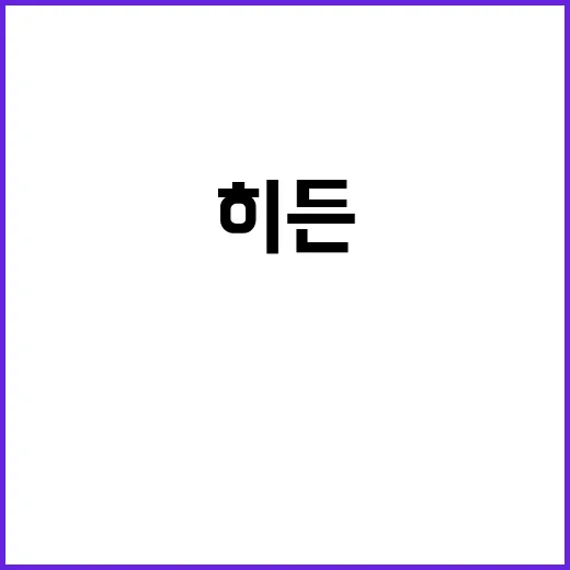 히든