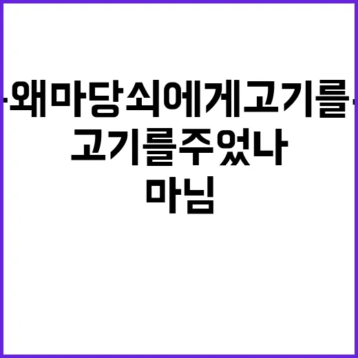 마님은 왜 마당쇠에게 고기를 주었나