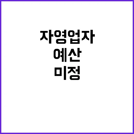 “예산 미정 자영업…