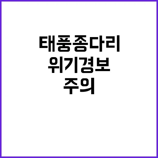 태풍 종다리 위기경보 주의! 대비는 필수!