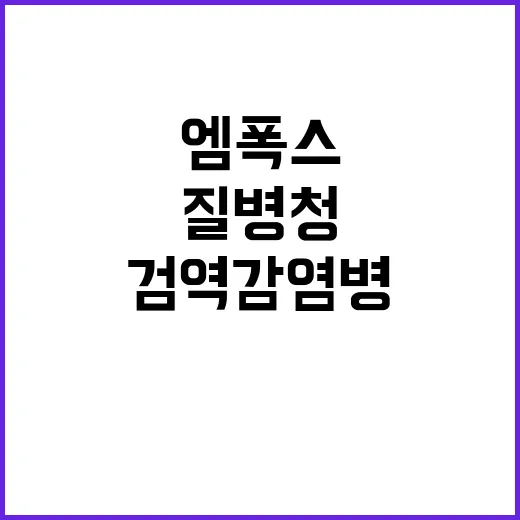 엠폭스 질병청 검역감염병 재지정…강화된 조치!