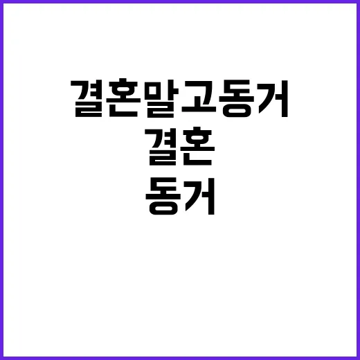 결혼 말고 동거