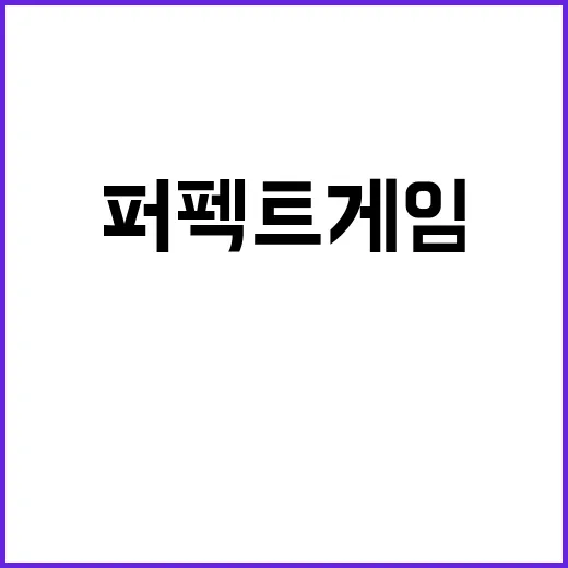 퍼펙트 게임 관람 …