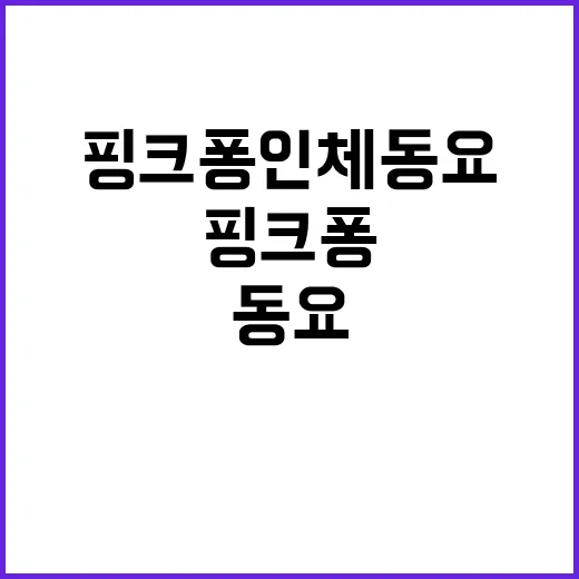 핑크퐁 인체 동요 …