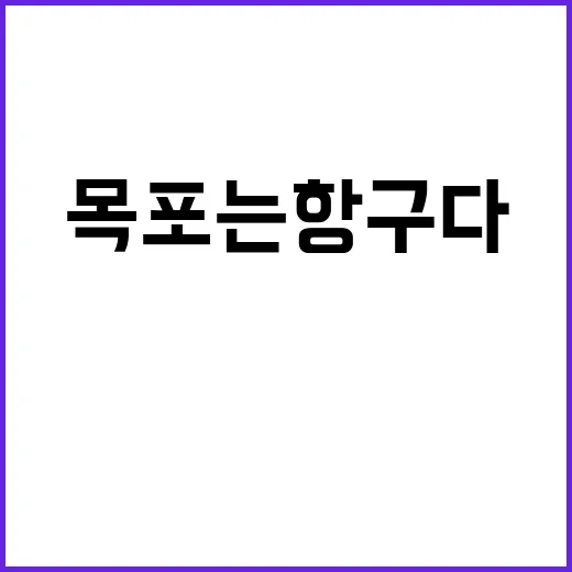 목포는 항구다 숨겨…