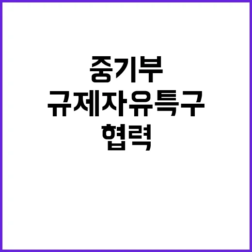 규제자유특구 중기부와 14개 시도 협력 논의!