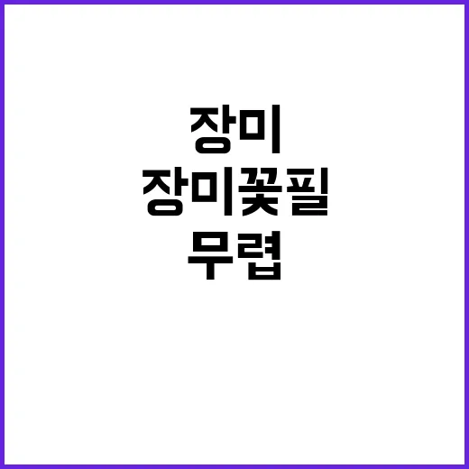 장미꽃 필 무렵 이…