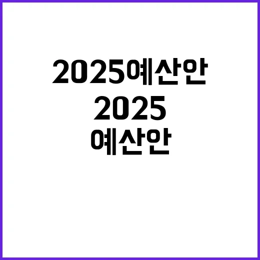 2025 예산안 미래와 삶을 지키는 전략!