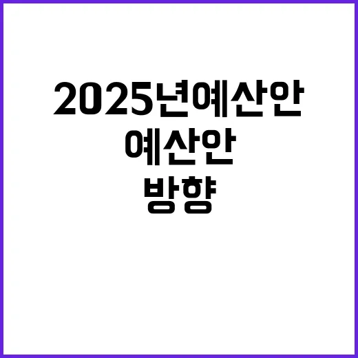 2025년 예산안 국정운영 방향과 철학 공개!