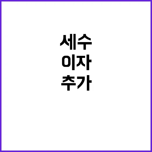 세수 부족 추가 이…