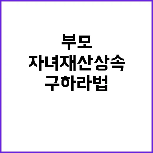 자녀 재산 상속 없…