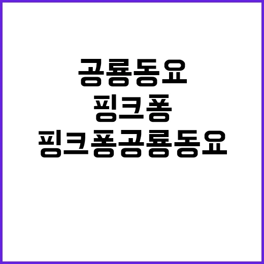 핑크퐁 공룡동요 각…