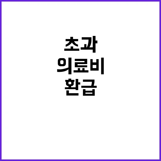 의료비 초과 분 2…