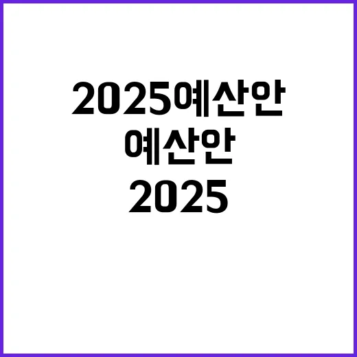 2025 예산안 어려운 분들 위한 희망의 계획!