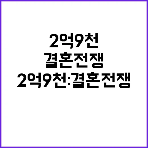 2억9천 결혼전쟁 …