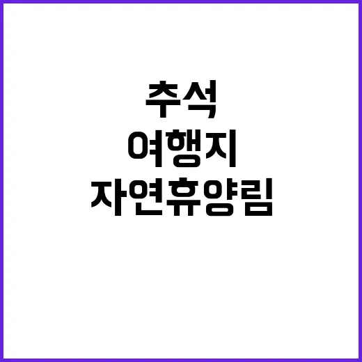 자연휴양림 추석 힐…