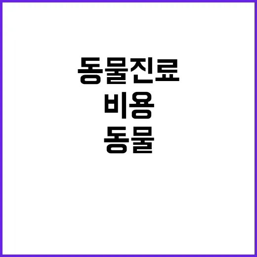 초음파 비용 공개 …