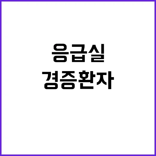 응급실 안정성 경증…