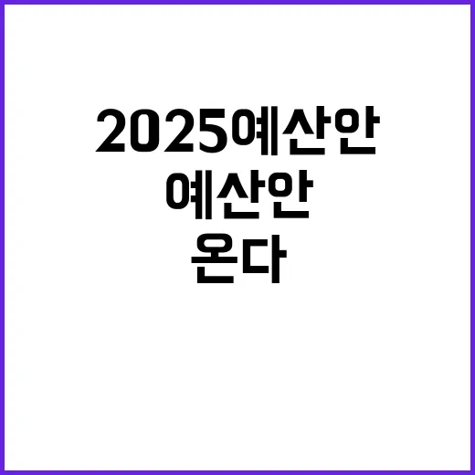 2025 예산안 살림살이에 큰 변화가 온다!