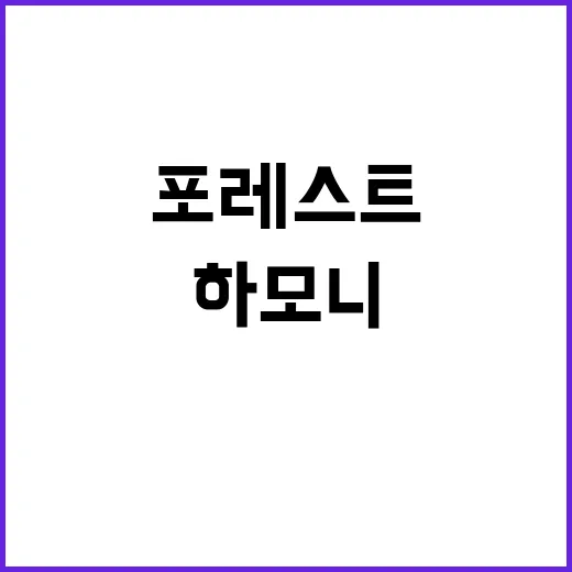 하모니 포레스트 영…